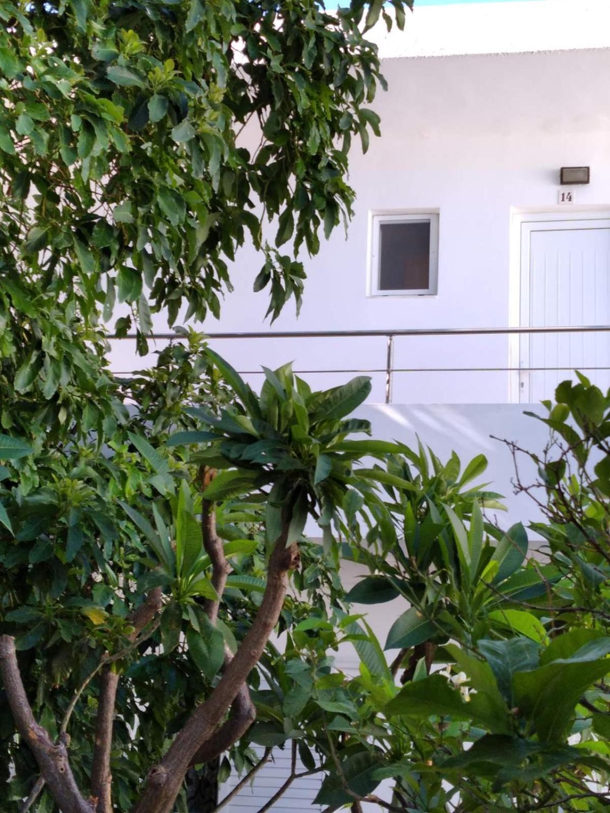 Maria Studios And Apartments Haraki Dış mekan fotoğraf