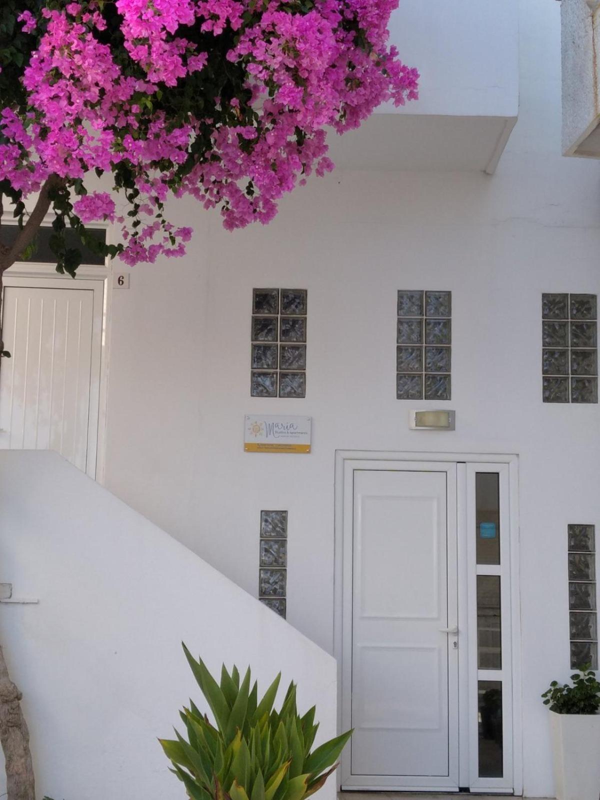 Maria Studios And Apartments Haraki Dış mekan fotoğraf