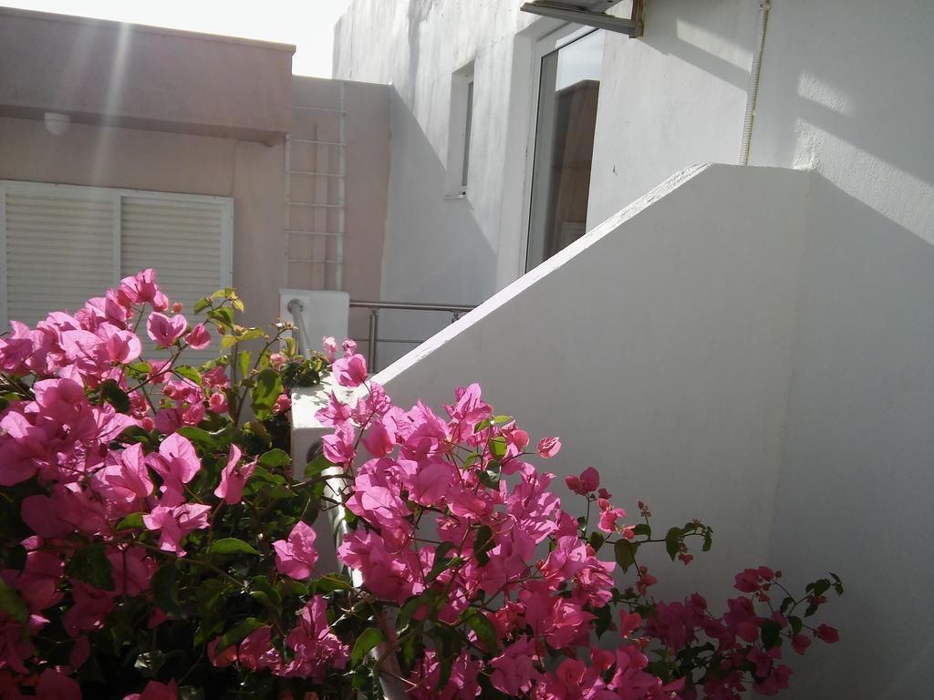 Maria Studios And Apartments Haraki Dış mekan fotoğraf